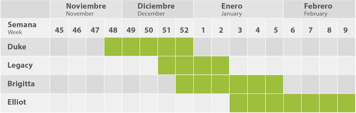 Descripción de Empresa